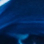 navy wave