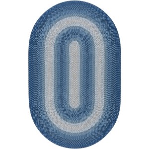 Braided BRD311 Machine Washable UV & Stain Resistant Non-Shedding Hand Woven Indoor/Outdoor Rugs - Safavieh - 1 of 4