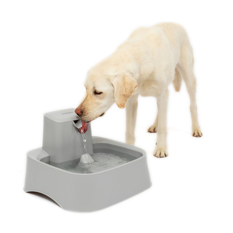 PetSafe Drinkwell Pet Fountain - Gray, 1 of 12