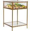 D'Eco Square Terrarium Display End Table w/Reinforced Glass in Gold Iron (18"x 18 x27") - Indoor Decor for Any Home or Office - Gift for Plant Lovers - 2 of 3