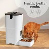 Automatic Cat Feeder with LCD Display, Smart Programmable Food Dispenser for Timed Meals - 4 of 4