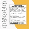 SuperSmart Astragalus Extract (High Potency) - Concentrated Extract - Astragalus Membranaceus Liquid Supplement | Non-GMO & Gluten Free - 30 ml - 4 of 4