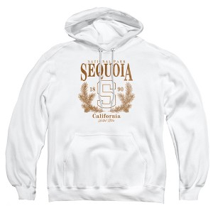 Men's Sequoia National Park Pine Wreath Pull-Over Hoodie - 1 of 4