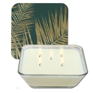 Courtside Market Jeweled Fronds Collection ~ Brown Sugar Vanilla 20 oz Soy Wax Candle with Decorative Art Lid - 1 of 3