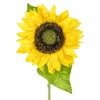 Allstate Floral 25" Yellow Artificial Sunflower Spray - 3 of 4