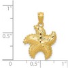 Black Bow Jewelry 14k Yellow Gold 15mm Diamond Cut and Textured Starfish Pendant - 4 of 4