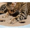 Catstages Scratch N Hunt Puzzle with Corrugated Scratcher Cat Agility Toy - Blue - 2 of 4