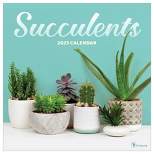2023 Wall Calendar Succulents - TF Publishing