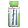 Solaray True Herbs, Fennel, 450 mg, 100 VegCaps - 2 of 4