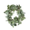 Chery Life Set of 2 D14.2" Eucalyptus Wreaths for Christmas Decor - 3 of 4