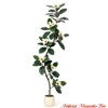 Artificial Magnolia Tree, 5ft/6ft/7ft Tall Fake Plants w/ White Planters, Artificial Plants Indoor w/ 7/8 Pcs Magnolia Flowers - 2 of 4