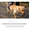 Pet Dog Leg Support Sling Adjustable Retractable Breathable Lift Harness for Eldery Dogs Injured Rear Leg Blue Plaid M (Recommended 12.5-20kg) - 4 of 4