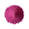 Dragon Fruit SD Juice Powder - by Food To Live - 2 of 4