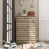 Hitow Woodgrain Tipping Shoe Cabinet Openwork Lines Design - 2 of 4