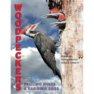 Woodpeckers - by  Sneed B Collard III (Hardcover)