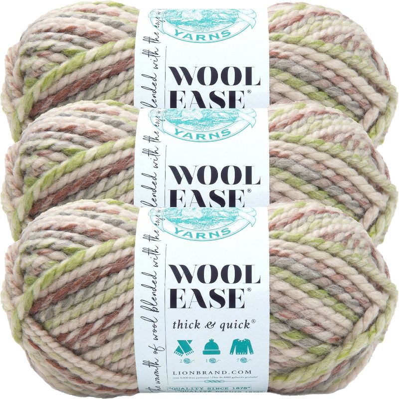 (3 Pack) Lion Brand Wool-Ease Thick & Quick Yarn - Fern, 1 of 4