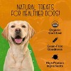 Chewmasters Organic Chicken & Brown Rice Dog Treats – 2 lb Bag – Made in USA – Corn, Soy & Wheat Free - 3 of 4