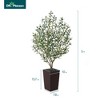 DR.Planzen 72" Artificial Olive Tree - 6FT UV Resistant Fake Plant with 15.7" Tall Planter Planter for Indoor House Plants & Tall Floor Decor - 3 of 4