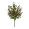 Cedar Bush (Set of 4) - 2 of 2