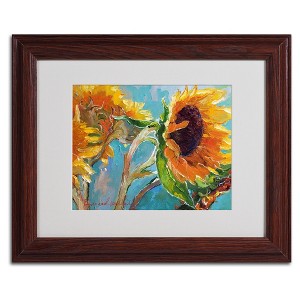 Trademark Fine Art -Richard Wallich 'Sun 11' Matted Framed Art - 1 of 4