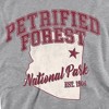 Men's Petrified Forest National Park State Line Crewneck Sweatshirt - 2 of 4