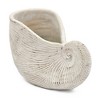 Chery Life Cement Nautilus Shell Planter with Textured Beige Finish - 3 of 4