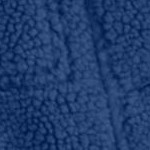 evening blue