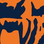 chicago bears