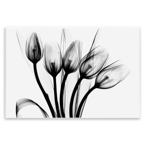 Stupell Industries Modern Tulip Blossom Abstract Monochrome Silhouette Photography Wall Plaque Art - 1 of 4
