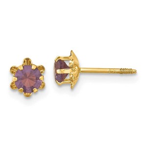 Black Bow Jewelry Kids 4mm Synthetic Amethyst & 14k Yellow Gold Screw Back Stud Earrings - 1 of 4