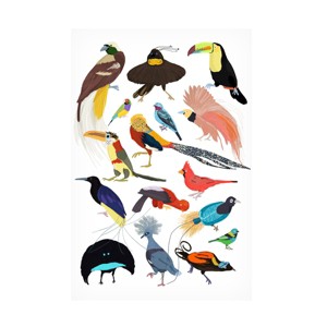 Trademark Fine Art - Hanna Melin Birds of Paradise Canvas Art - 1 of 4