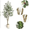 5 FT Olive Trees Artificial Indoor, Realistic Potted Silk Artificial Olive Tree, with Natural Wood Trunk and Lifelike Fruits, for Home, 1 Pack - 2 of 4