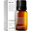 Gya Labs Silver Fir Essential Oil for Diffuser - 0.34 Fl Oz - 100% Pure Natural Silver Fir Oil for Skin, Hair, Aromatherapy & Candle Making Scent - 2 of 4