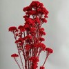 Alilang Decorative Dried Berry Stems for Home Decoration and Floral Arrangements, 17 Inches - 4 of 4