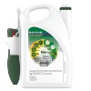 Roundup for Lawns Southern Herbicide With Wand - 1 gal: Ready-to-Use, Controls Unwanted Vegetation, 400 sq ft Coverage - 2 of 4
