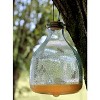 Darware Clear Glass Wasp Traps (2-Pack); Wasp Catchers for Garden and Home Use - 3 of 4