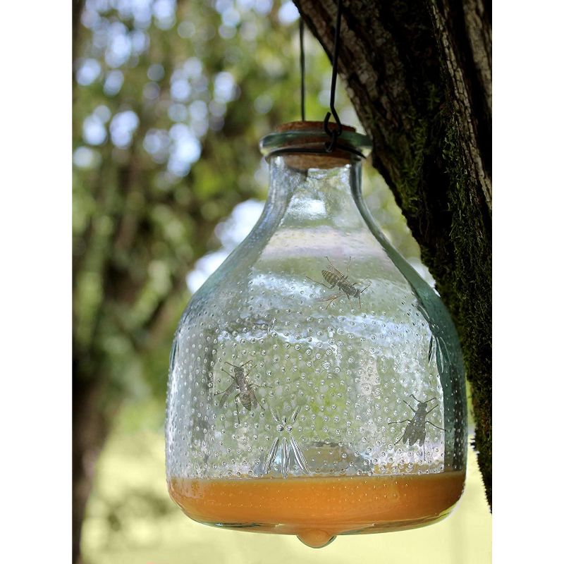 Darware Clear Glass Wasp Traps (2-Pack); Wasp Catchers for Garden and Home Use, 3 of 7