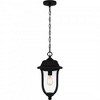 Quoizel Lighting Mulberry 1 - Light Pendant in  Matte Black - 4 of 4