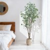 Artificial Eucalyptus Tree Fake Potted Tree Silk Faux Eucalyptus Plant for Home Office Livingroom Floor Decor Indoor - 3 of 4