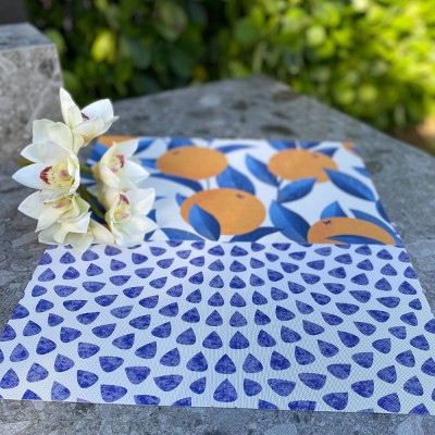 Kassa - Dini 4pk Vinyl Teardrops Printed Placemats