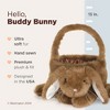 Bearington Brown Bunny Rabbit The Plush Basket Bunny, 12 x 13 Inch Bunny Basket - 2 of 4