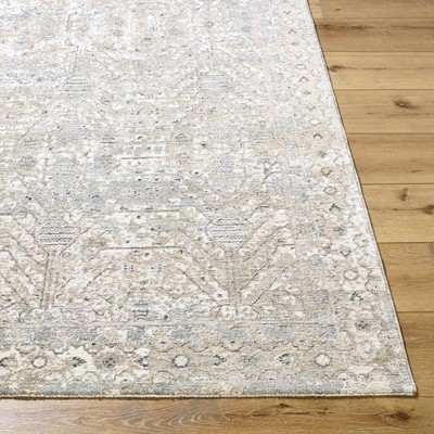 Hauteloom Avalyn Living Room, Bedroom Area Rug - Traditional