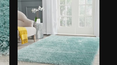 Charlotte Charcoal Gray Shag 4' x 6' Area Rug