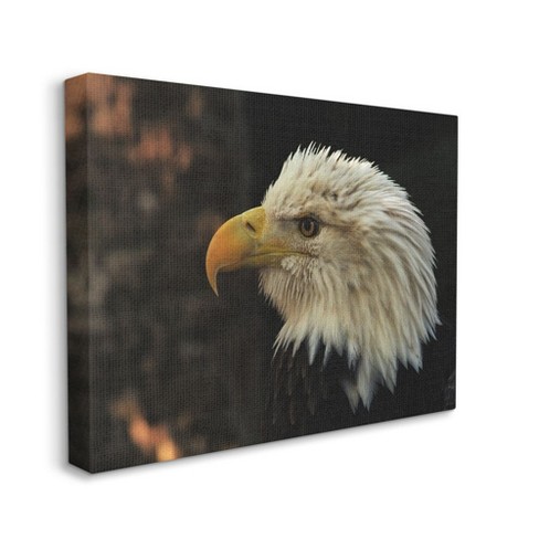 Stupell Industries Bald Eagle Portrait Animal Bird Photograph : Target