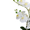Northlight Real Touch™️ Artificial Orchid Plant in a White Oval Pot - 22" - White and Yellow - 4 of 4