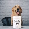 Amici Pet Haute Dog Gourmet Biscuits Metal Storage Canister, 72 oz. , White & Black - 2 of 4