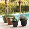 Bloem Ariana Round Resin Planter Pot Indoor and Outdoor Gardening - 2 of 4