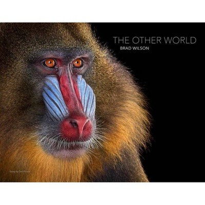 Brad Wilson: The Other World - (Hardcover)