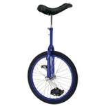Fun Unicycle 20 inch Unicycle with Aluminum Rim Blue