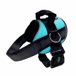 Joyride Harness Premium Advanced No Pull Dog Harness 2.0 Teal Ocean - 1 of 4